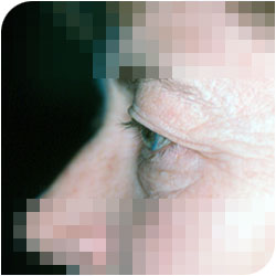 Apercu de la vignette